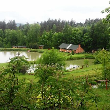 Dolina 4 Stawow Villa Krzywcza Bagian luar foto