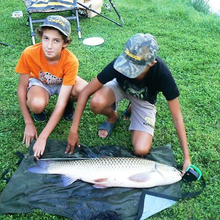 Dolina 4 Stawow Villa Krzywcza Bagian luar foto