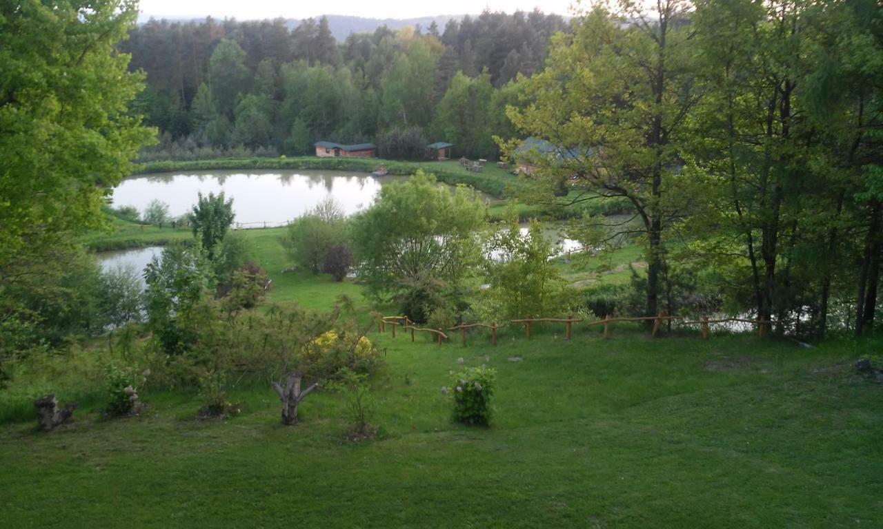 Dolina 4 Stawow Villa Krzywcza Bagian luar foto