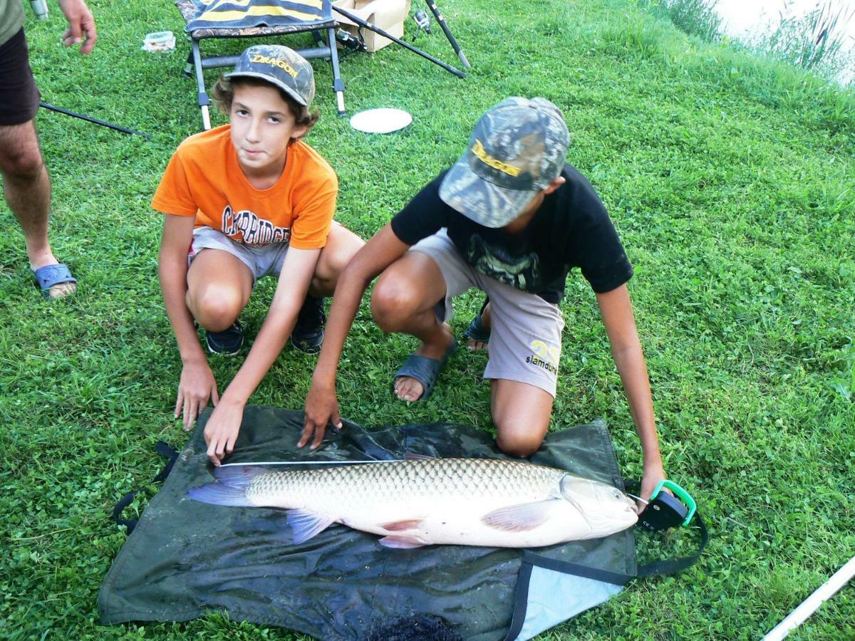 Dolina 4 Stawow Villa Krzywcza Bagian luar foto
